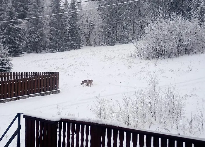 アパート Karamba シクラルスカ・ポレンバ