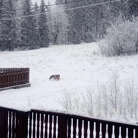 شقة Karamba شكلارسكا بوريبا